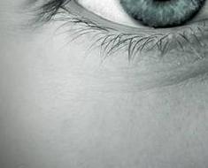 wallpaper-1689754