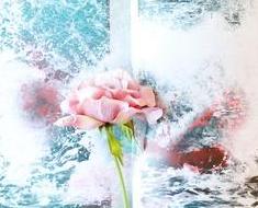wallpaper-1689754