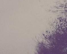 wallpaper-1689754