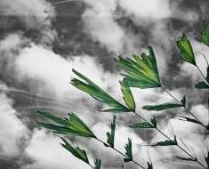 wallpaper-1689754