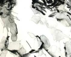 wallpaper-1689754
