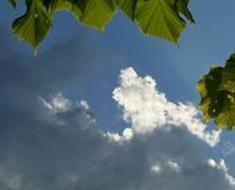 wallpaper-1689754