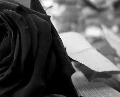 wallpaper-1689754