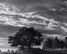 wallpaper-1689754