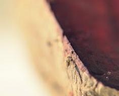 wallpaper-1689754
