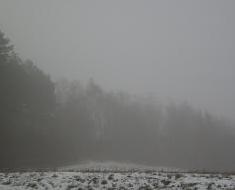 wallpaper-1689754