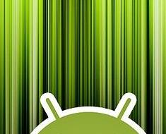 wallpaper-1689754