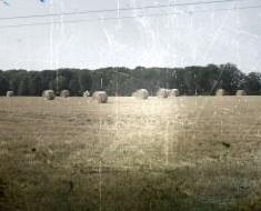 wallpaper-1689754