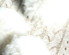 wallpaper-1689754