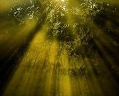 wallpaper-1689754