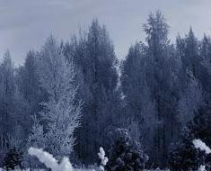 wallpaper-1689754