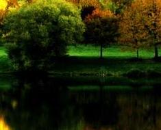 wallpaper-1689754