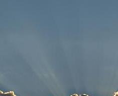 wallpaper-1689754