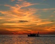 wallpaper-1689754