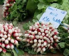 Französische Eierküche: Omelette auf baskische Art (Piperade basquaise)