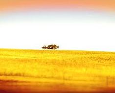 wallpaper-1689754
