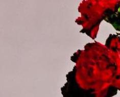 wallpaper-1689754