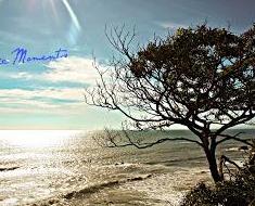 wallpaper-1689754