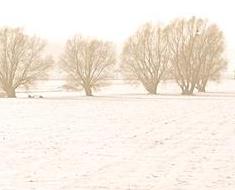wallpaper-1689754