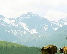 wallpaper-1689754