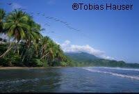 wallpaper-1689754