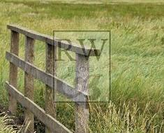 wallpaper-1689754