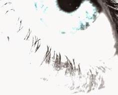 wallpaper-1689754