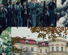 wallpaper-1689754
