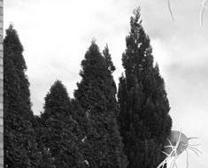 wallpaper-1689754
