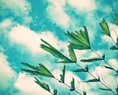 wallpaper-1689754