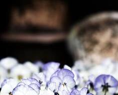 wallpaper-1689754