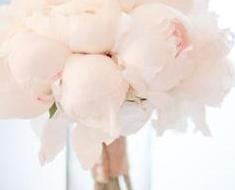 wallpaper-1689754