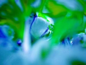 wallpaper-1689754