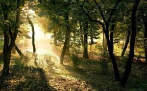wallpaper-1689754