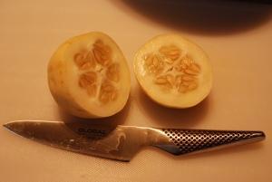 Mal wieder was entdeckt – Die Apfelgurke