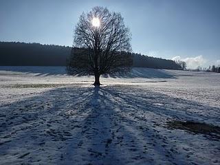 wallpaper-1689754