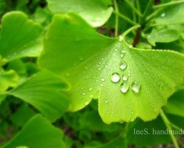 Beflügelt. Irgendwie.