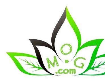 Oleander Pflege und Tipps