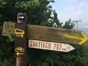 Tag 3: Eigentlich zu viel und trotzdem gut