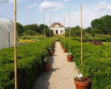 Ein Jagdausflug in die Welt der Vielfalt