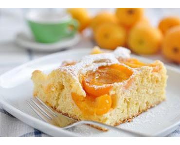Marillenkuchen vom Blech