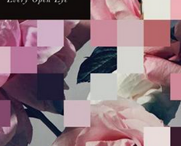 wallpaper-1689754