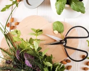 Gesund und Lecker - Homemade Gartenkräuterpesto