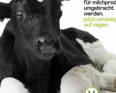 eine Veganerin macht einen heroischen Selbstversuch…