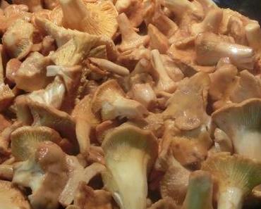 Pfifferlinge in Rahmsauce mit grünen Bandnudeln