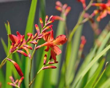 Hello August! 7 Dinge, auf die ich mich freue....