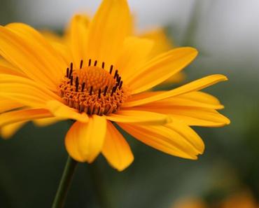 wallpaper-1689754