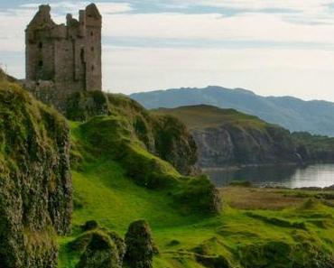 Mogpaws – A Brew To Get You Through