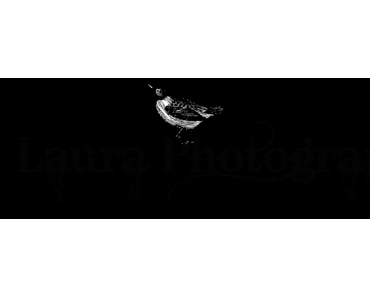 Wie bearbeite ich meine Bilder ?