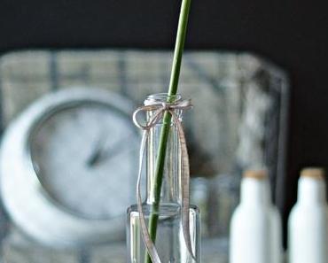 {Flower Friday} Milchstern, die zweite